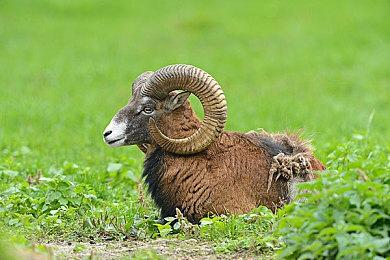 《双点校园》全新中字预告 考古系影像公布